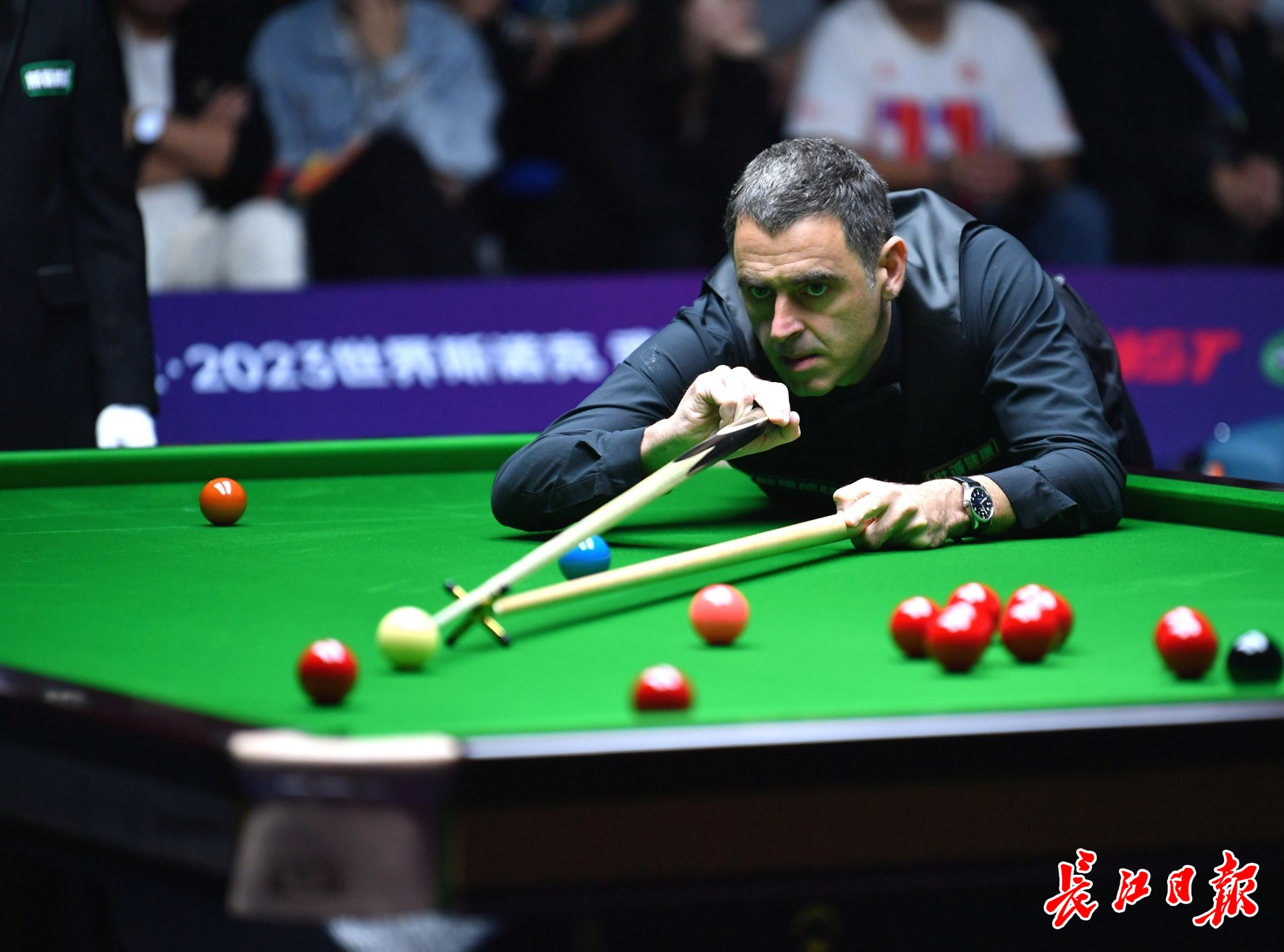 愿景与发展 愿景与发展