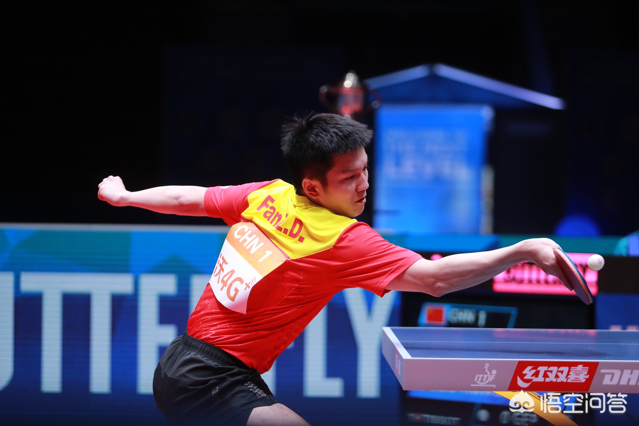 在这个专属 在这个专属