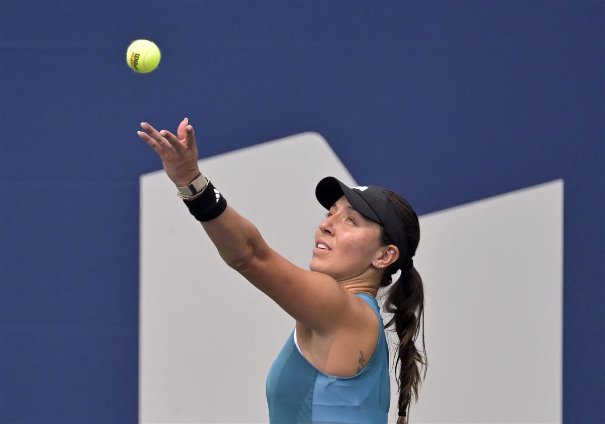 却逐渐陷入 却逐渐陷入